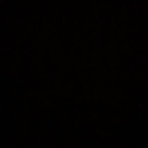 Meet your Posher, Dionicia